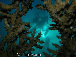“Table Top Setting”, taken on my birthday 11/23/08 in Tab... by Tim Morin 